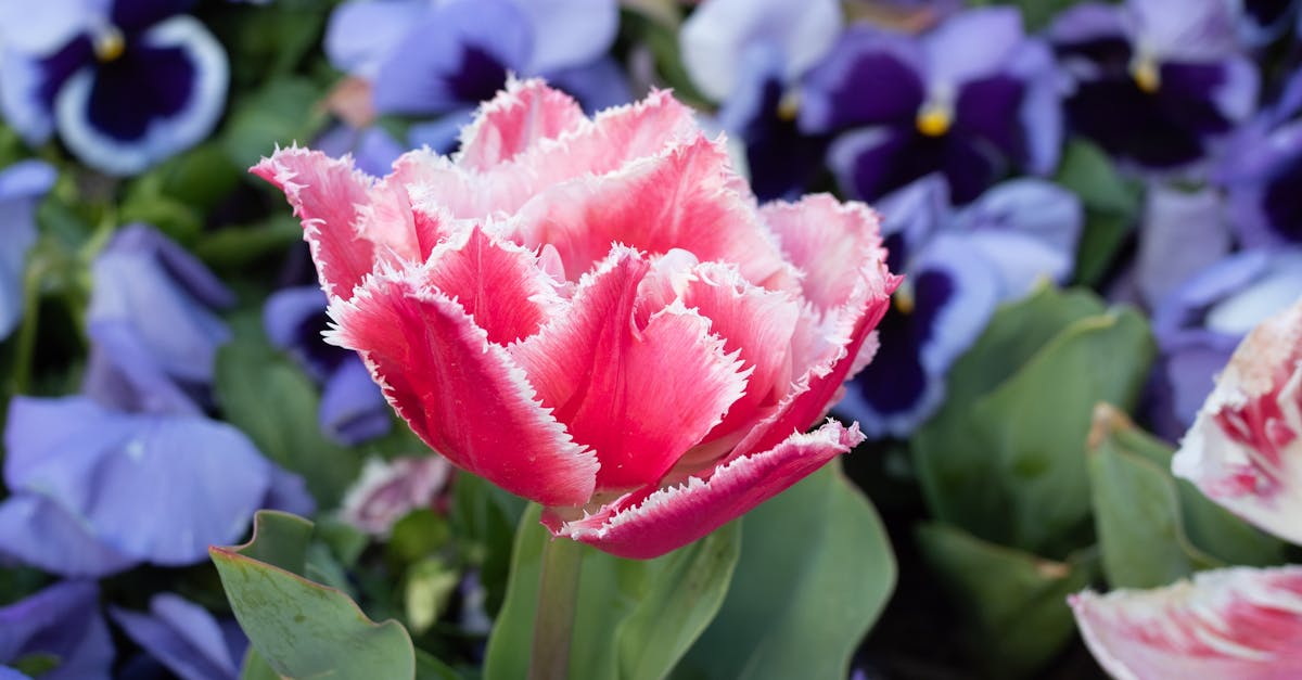 Essential Checklist for Safety Inspections in Commercial Buildings