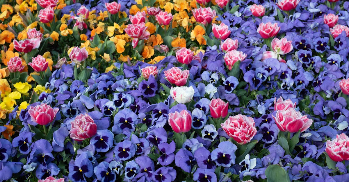 How to Prepare for Unexpected Power Outages at Home