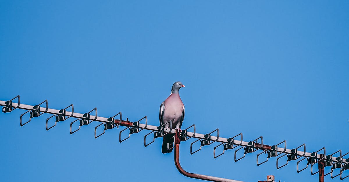 How to Prepare Your Home for an Electrical Safety Inspection