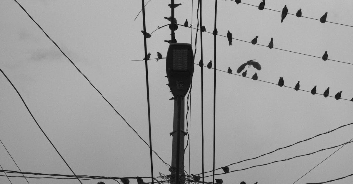 How to Test and Maintain Your Smoke Alarms Effectively