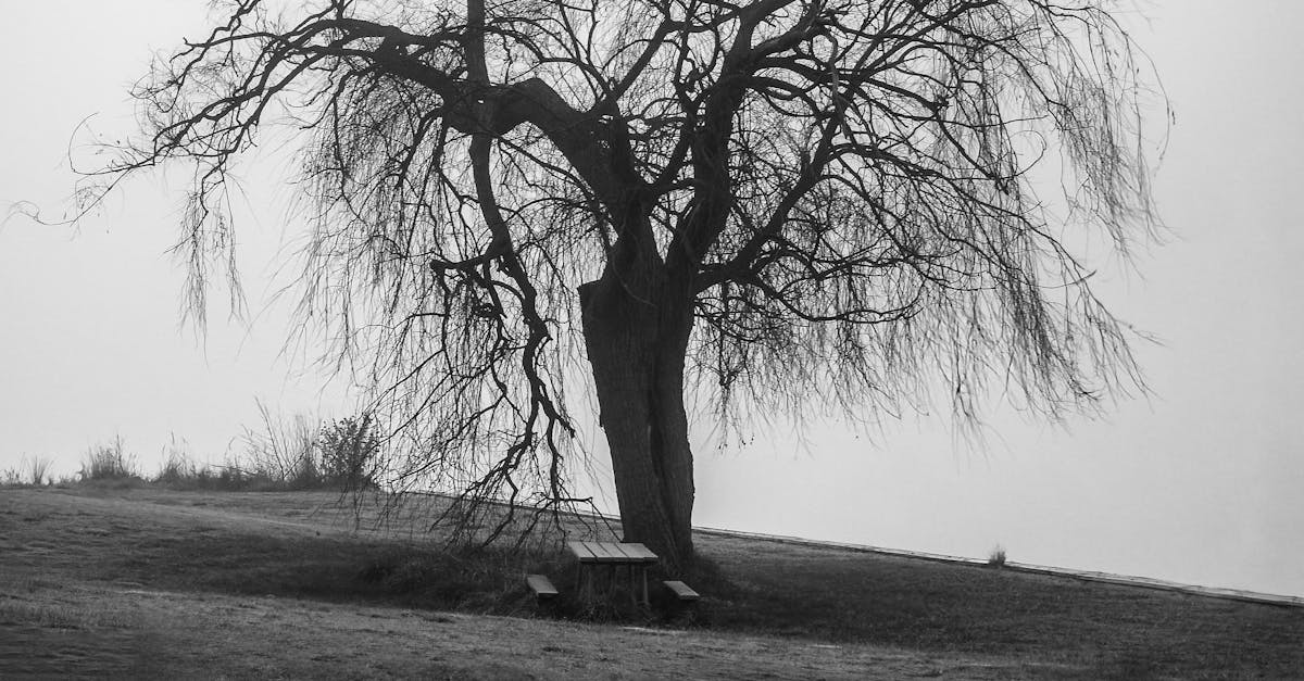 The Benefits of Interconnected Smoke Alarms in Residential Properties