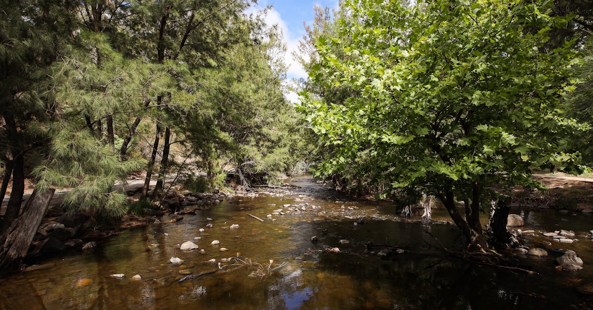 Understanding the Costs Involved in Home Rewiring