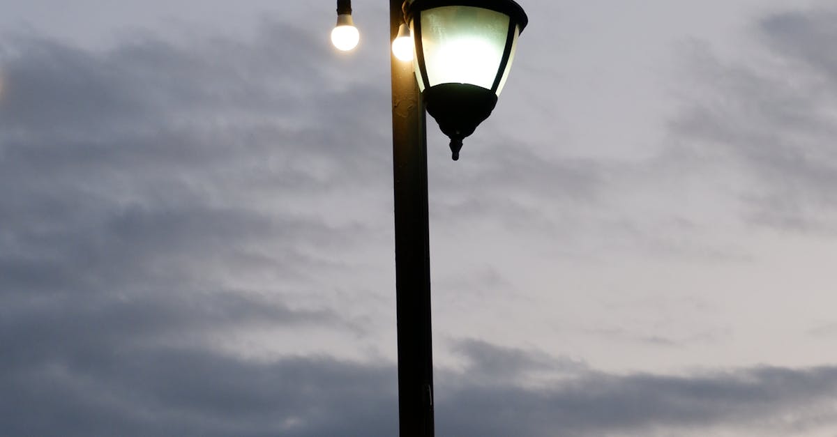 Understanding The Importance of Lighting Placement in Design